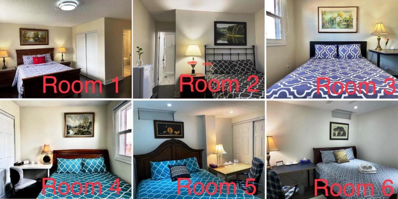 77 Nice And Warm Series Rooms Toronto Eksteriør bilde